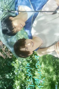 Останься со мной после дождя (2025)