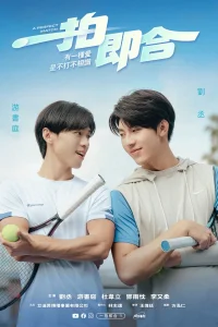 Идеальное совпадение (2025)