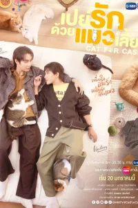 Кот за деньги (2026)